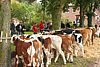 Viehmarkt und Kirmes 2012
