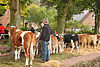 Viehmarkt und Kirmes 2012